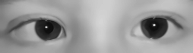 Flipped + grayscale
